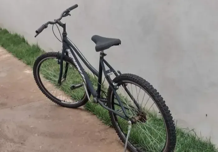 Bicicleta