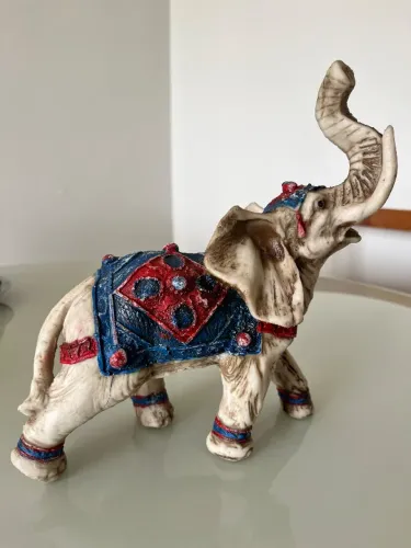 Elefante indiano