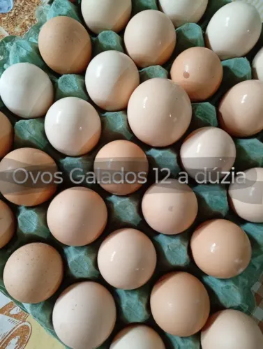 Vendo A duzia Galados R$12