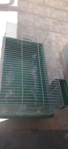 Gaiolão para porquinho da índia e coelhos Bragança