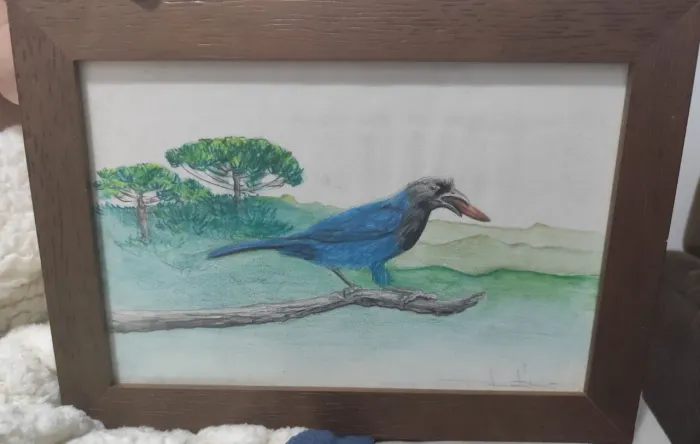 Quadro gralha azul pintado a mão 
