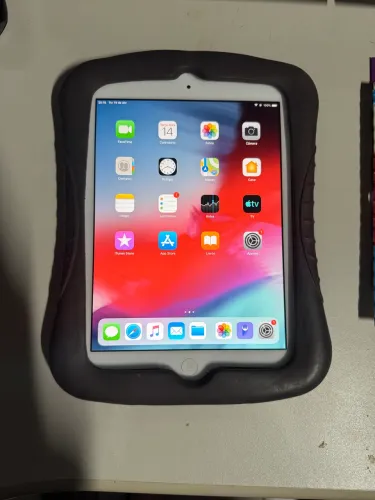 iPad mini
