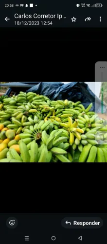 terreno na serra de pacoty 40 mil metros quadrados, muitas bananeiras agua perene riacho.