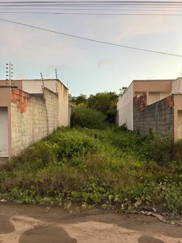 VENDO LOTE NA AVENIDA A NO ANCURI 6x31