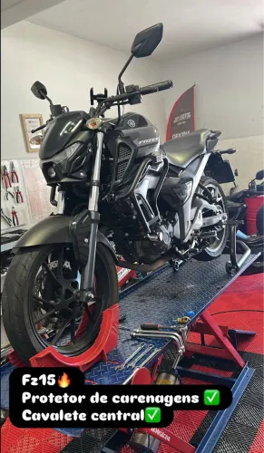 Fz15 2024