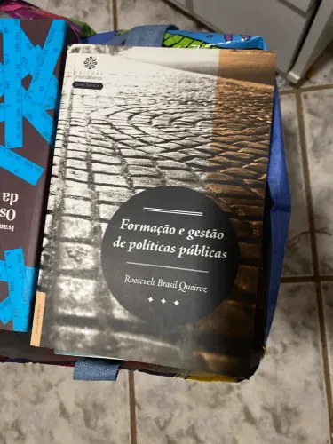 Formação e gestão de políticas públicas - Livro 