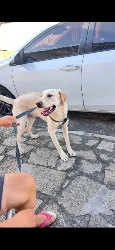 Doação 