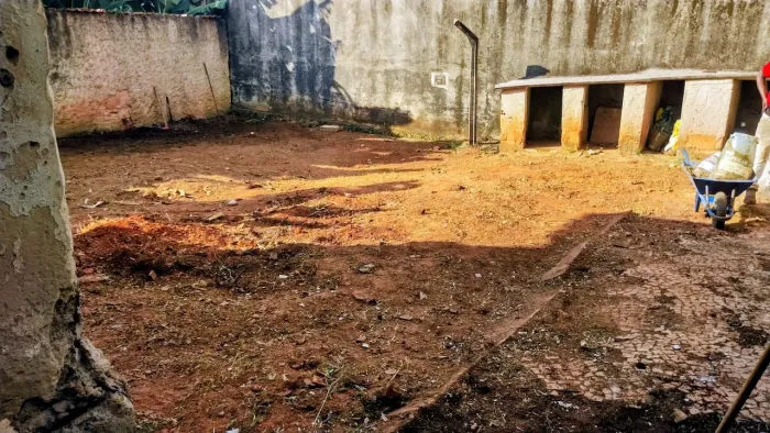 Higienização, limpeza, roçadeira