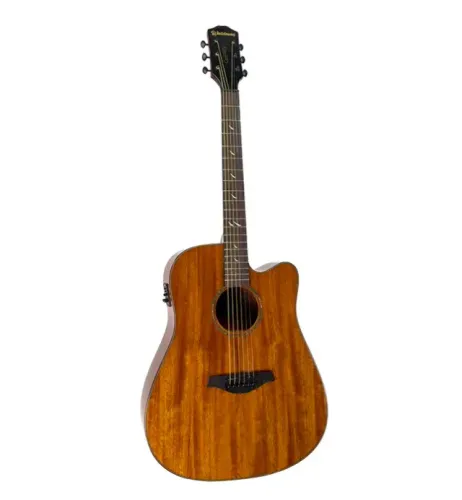 VIOLAO ELETRO-ACUSTICO WALDMAN DECEX-741 NAT