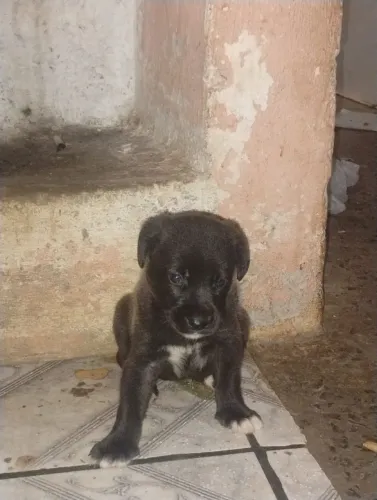 DOAÇÃO