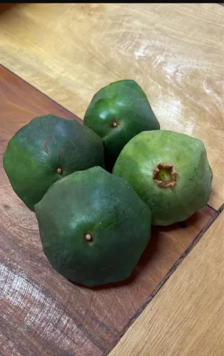 Sítio Recanto dos Pássaros