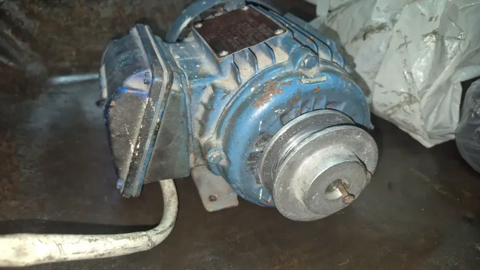 Motor trifásico 0,5 CV Weg
