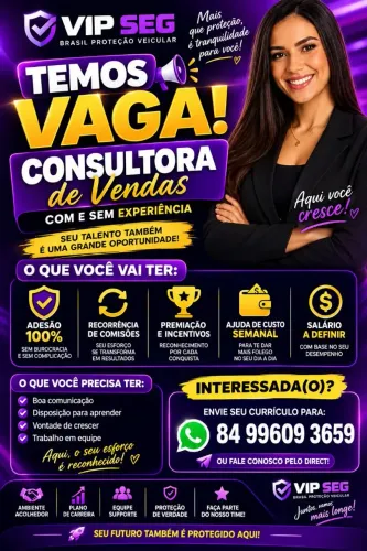 Consultora de vendas 