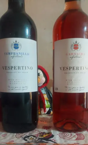 Dois vinhos Espanhol