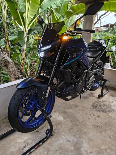 MT 03 2024/25 