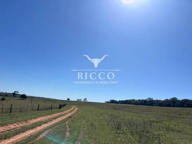 Fazenda à Venda em Serranópolis/GO 337 Alqueires | Pastagens Reformadas