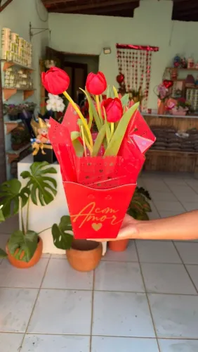 Flores, tulipas e presentes dia dos namorados 