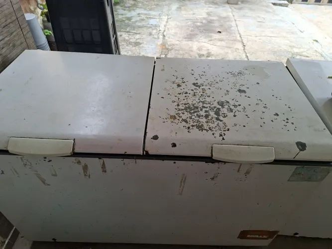 Freezer Consul