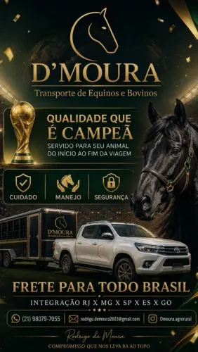 Transporte / Frete cavalo