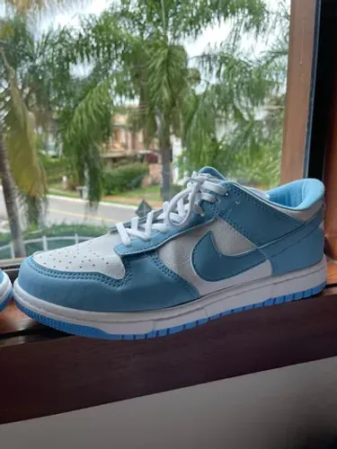 Tenis Nike dunk