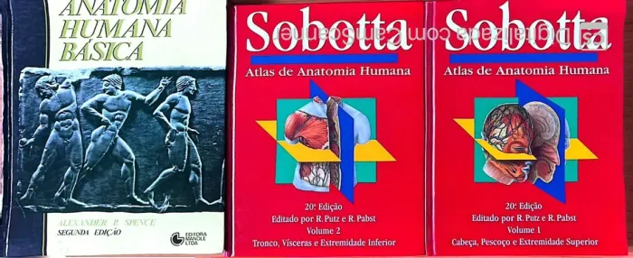 Livros: combo Anatomia