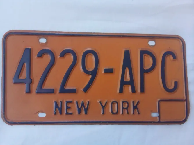 PLACA DE CARRO AMERICANO 