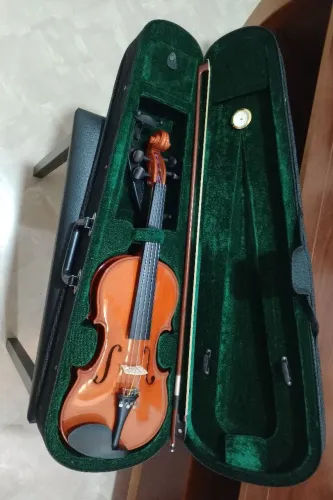 Violino Michael 4/4 Vnm 40 Completo.