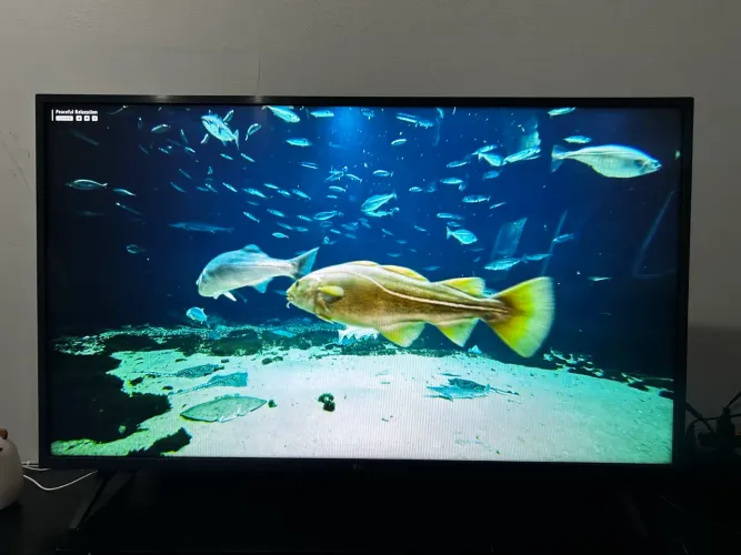 Tv Smart 43 polegadas