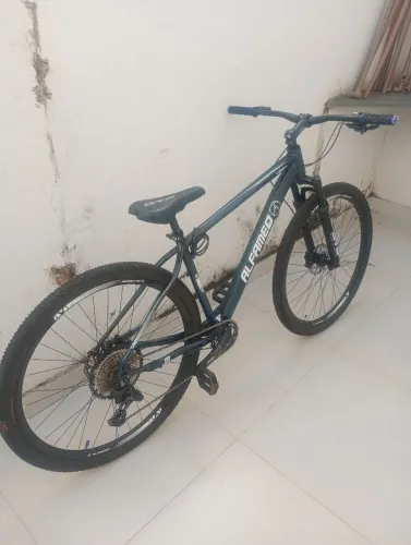 Bicicleta ALFAMEQ 29