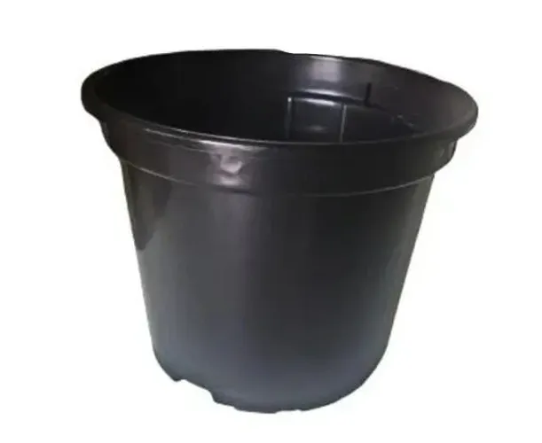 Kit 8 Vasos 1 Litro Pote 15 | Ideal para Suculentas e Rosa do Deserto