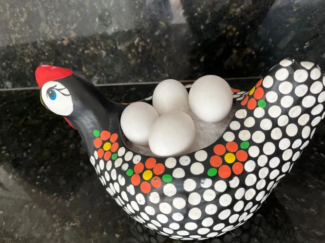 Galinha porta ovos
