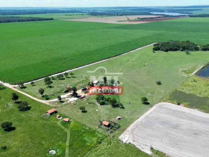 Fazenda 40 Alqueires (193,6 hectares) Cachoeira Alta - GO