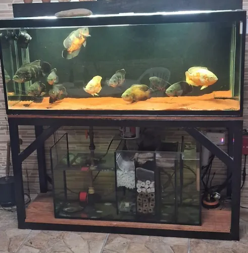 Aquário 450 litros