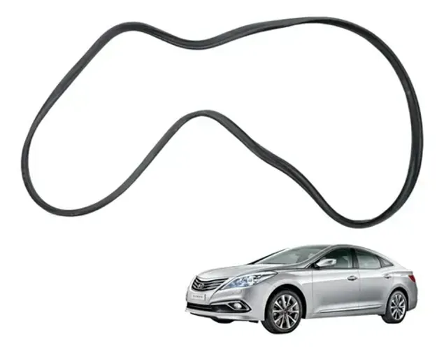 Borracha Porta Traseira Esquerda Hyundai Azera 2011 2012