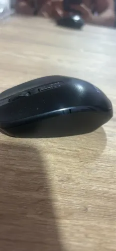 Mouse