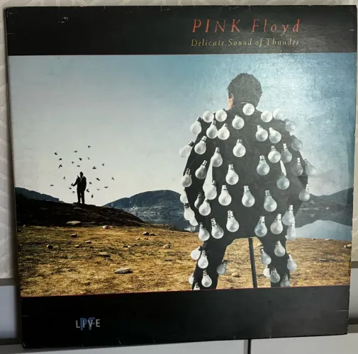 Disco duplo vinil Pink Floyd Delicate sound of thunder