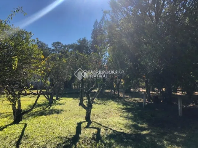ÁREA DE TERRA COM ÁRVORES FRUTÍFERAS E MATA NATIVA NO KRAHE EM VIAMÁO