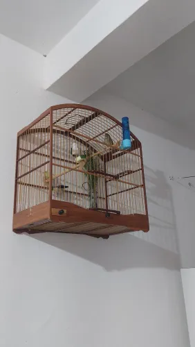 vendo gaiola muito nova