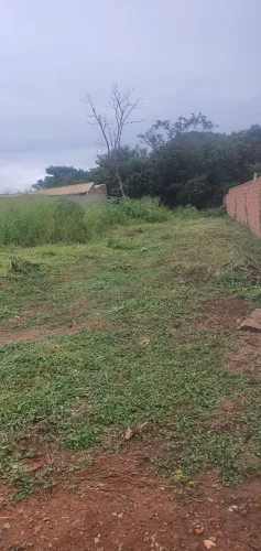 Terreno bairro bananal