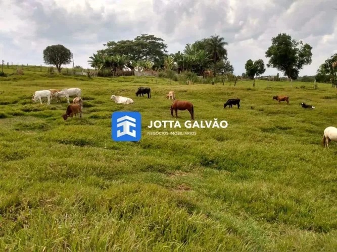 Sítio a venda, 60.500m² - Sítio Novo, Artur Nogueira - SP