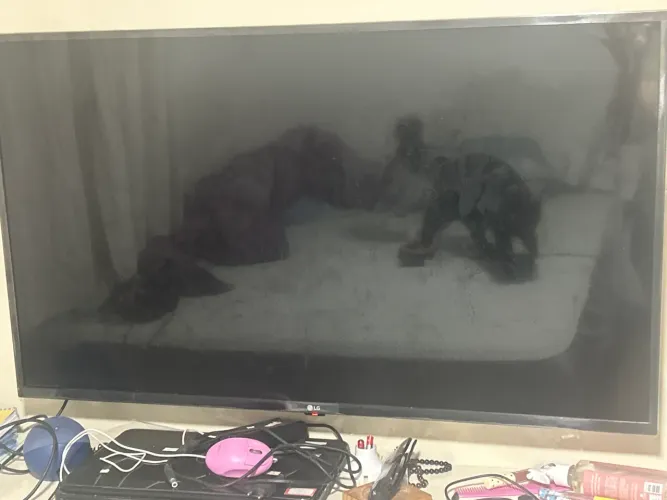 Tv com defeito 43 polegadas 