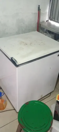 Freezer Electrolux