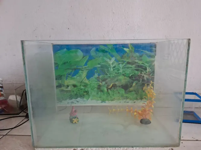 Aquário de vidro