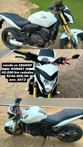 Vendo Hornet 600