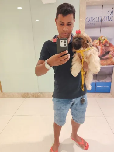 Prestador de serviços, motorista