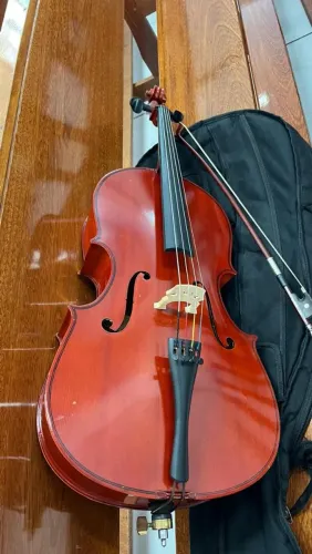 Violoncelo