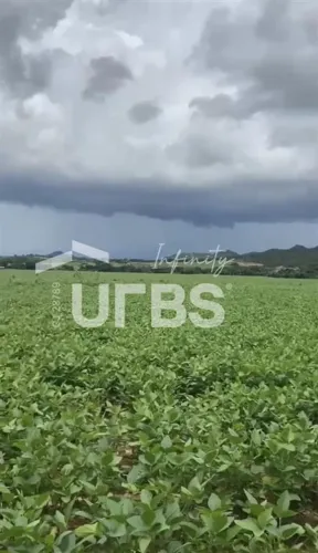 Fazenda, Municipio Vila Propicio, 535 alqueires, podendo dividir e fechar apenas 300 alque
