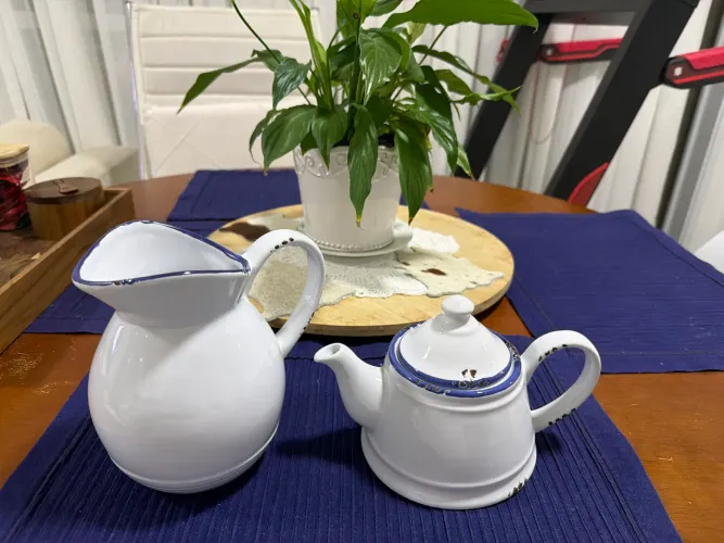 Jogo de porcelana bule e jarra