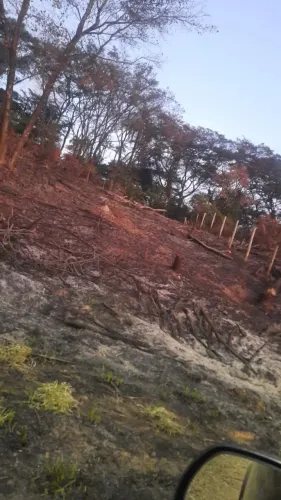 Vende-se lote barato em igarapé