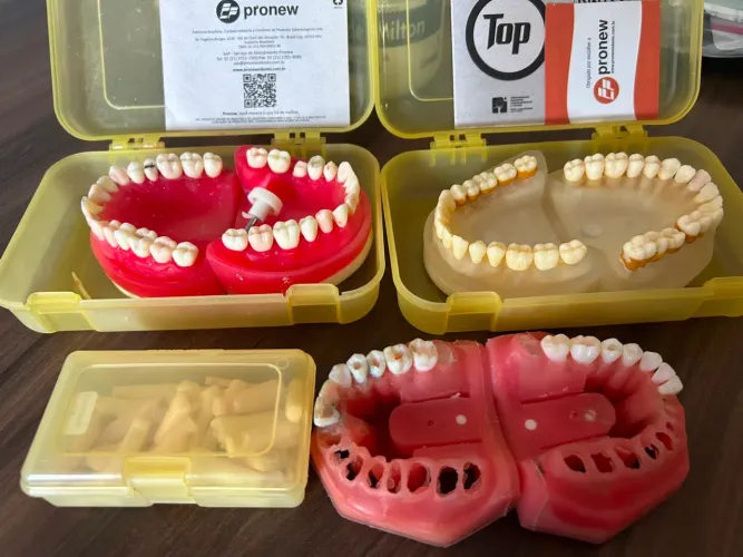 Manequim Odontológico Pronew Original | Periodontia, Dentística ou Endodontia